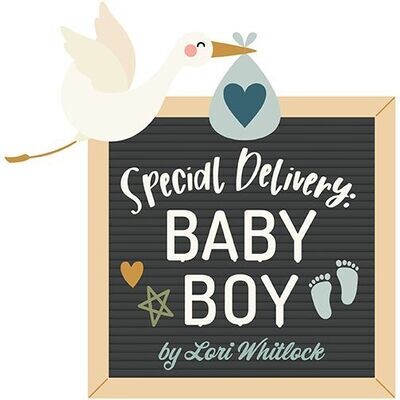 Special Delivery Baby Boy