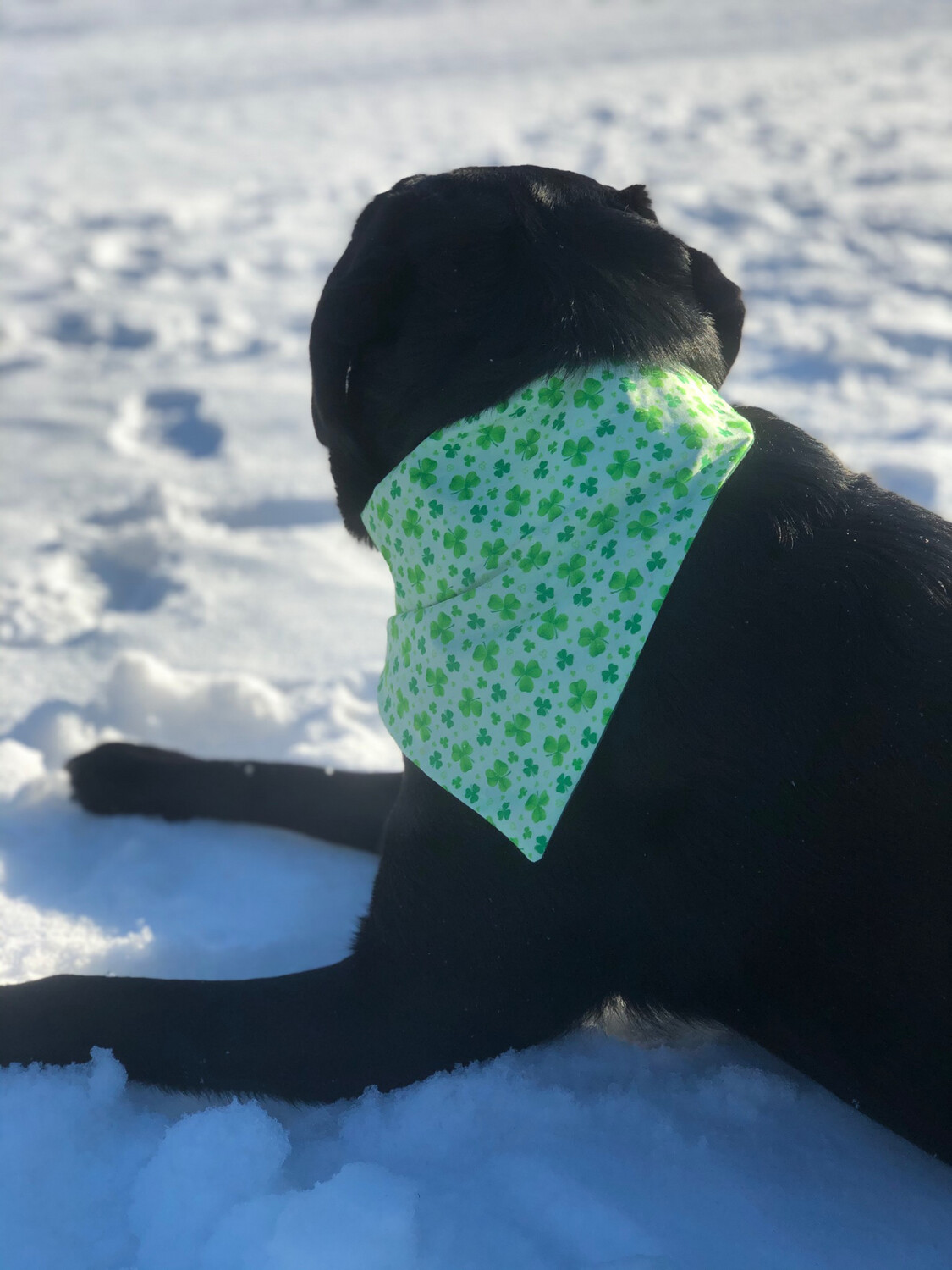 St Patty’s Day Bandana