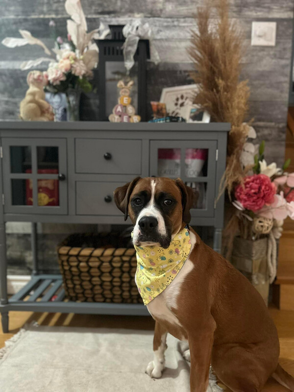 easter bunny and eggs bandana