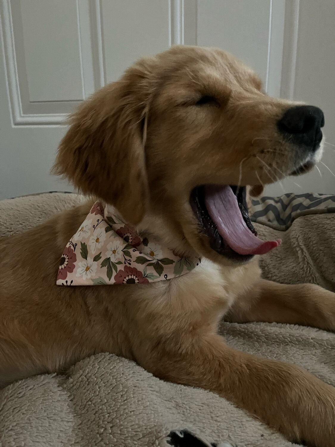 spring pink floral bandana