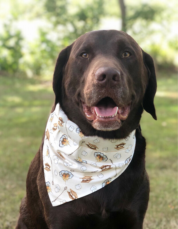 S’mores bandana