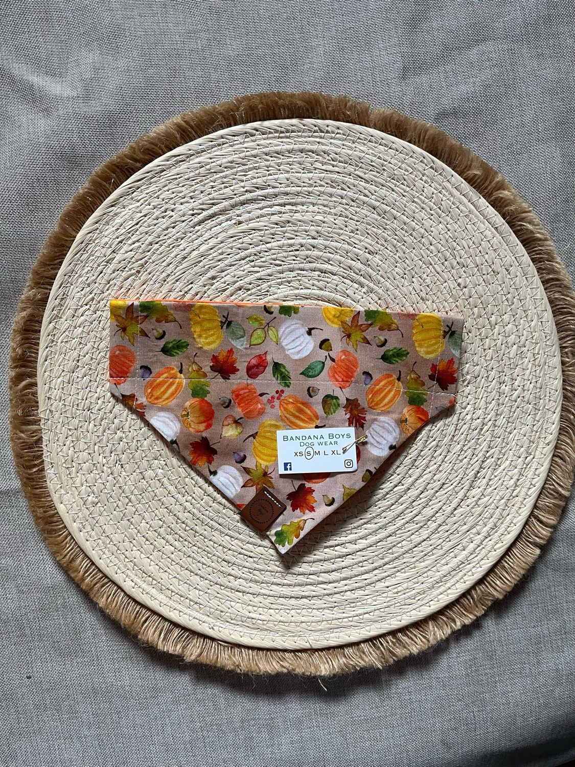 Pumpkin Fall Scene bandana