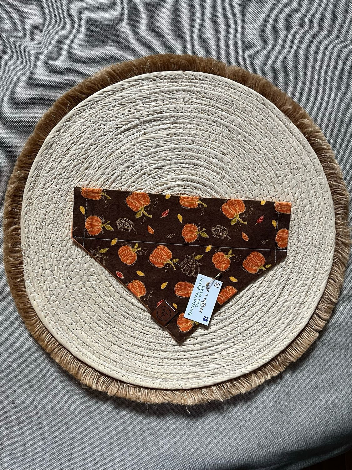 Brown Pumpkin bandana