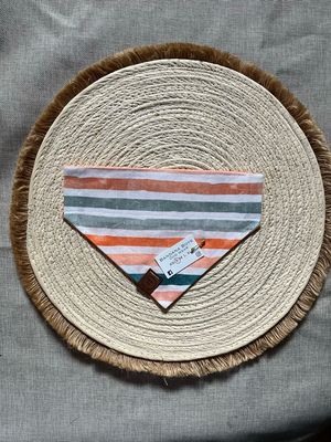 Fall Stripes bandana