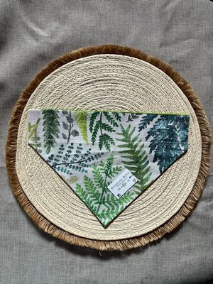 Ferns Bandana