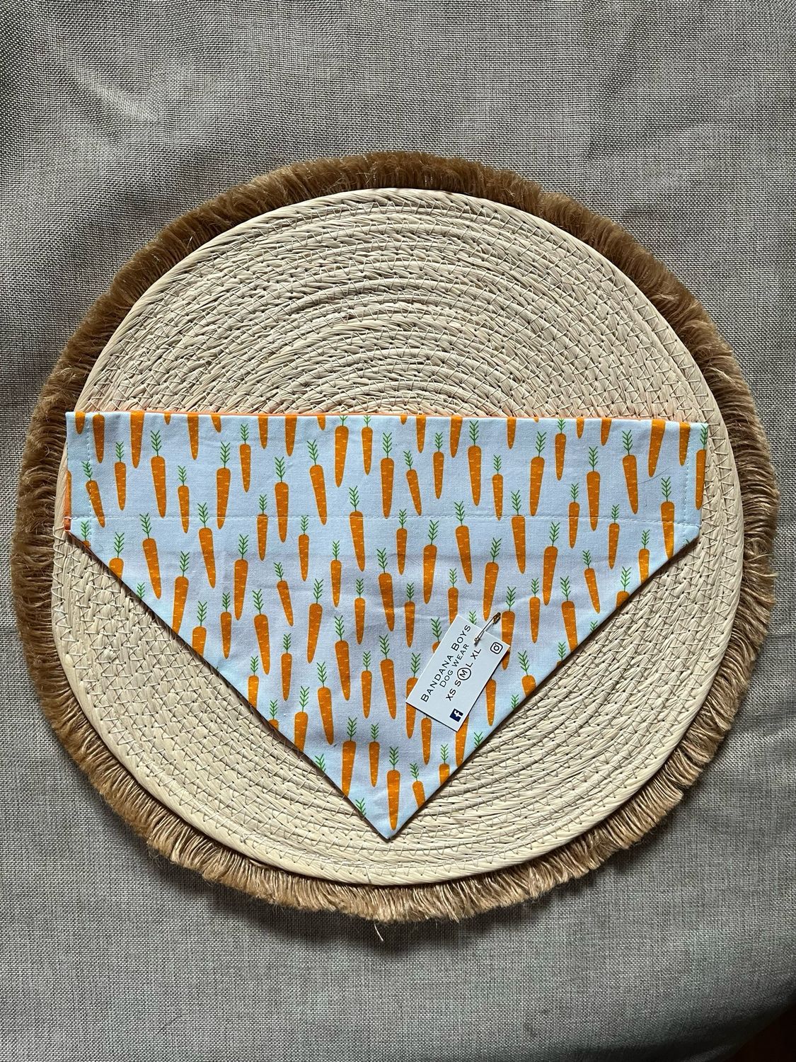 Carrots bandana