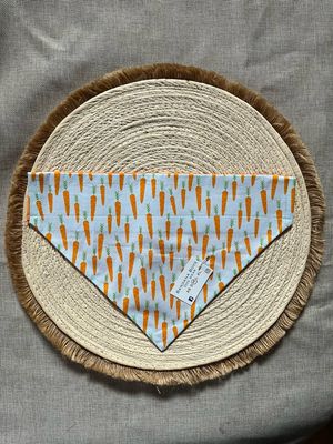 Carrots bandana