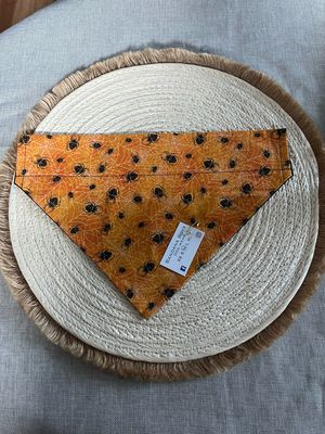 Spider bandana