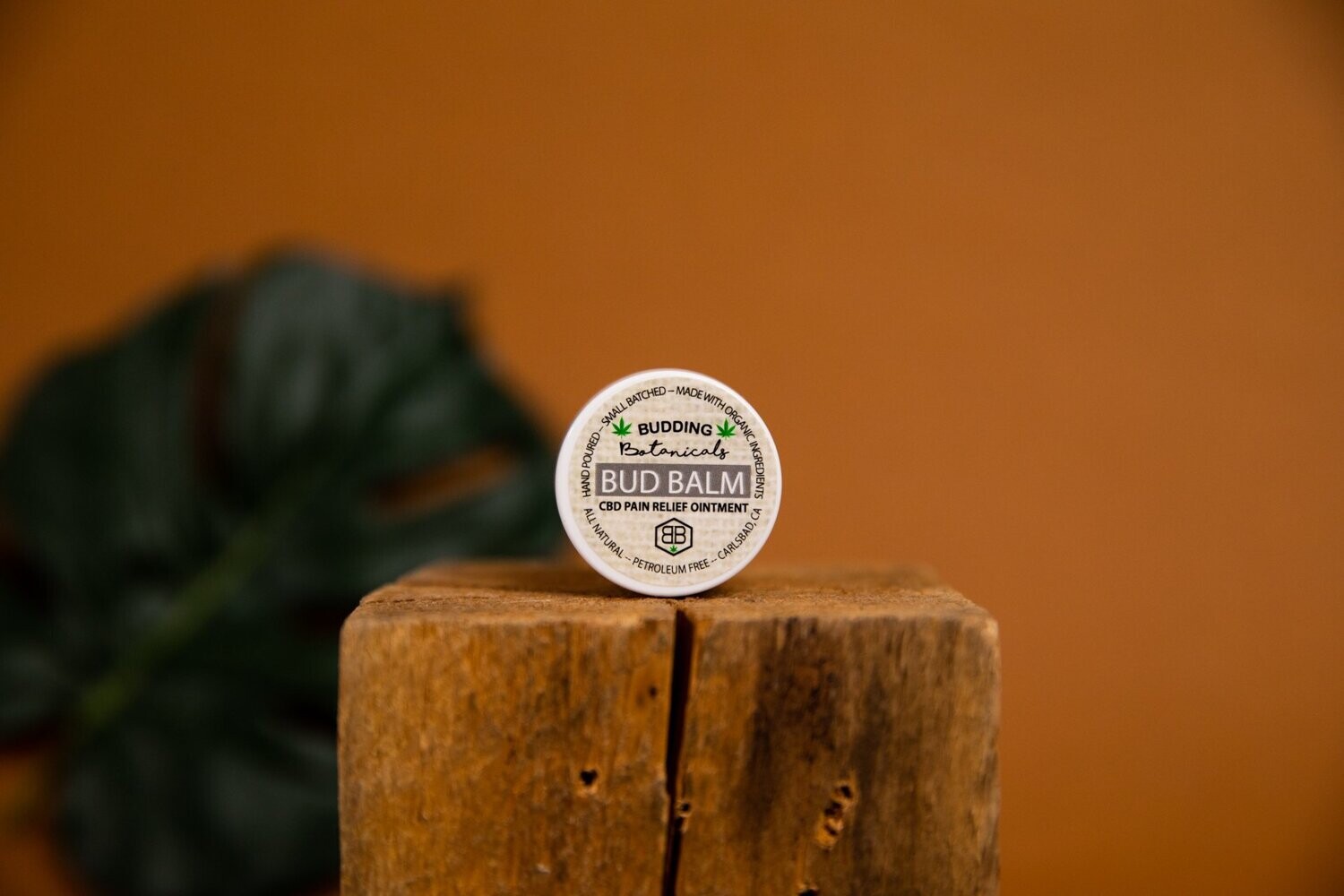 FREE SAMPLE - 1/2oz CBD Face Cream, Size: 1/2 oz