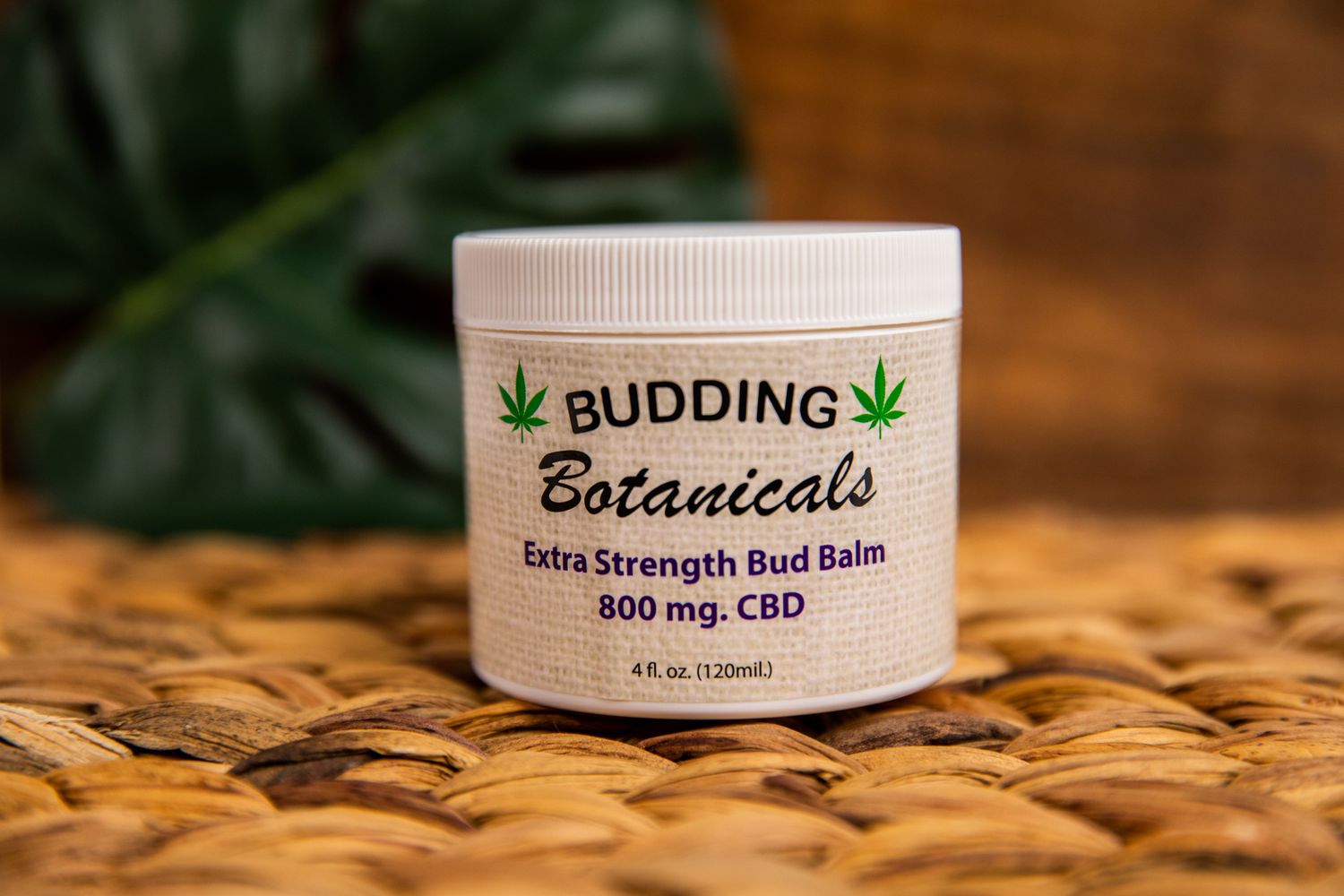 800 MG CBD Salve Wholesale