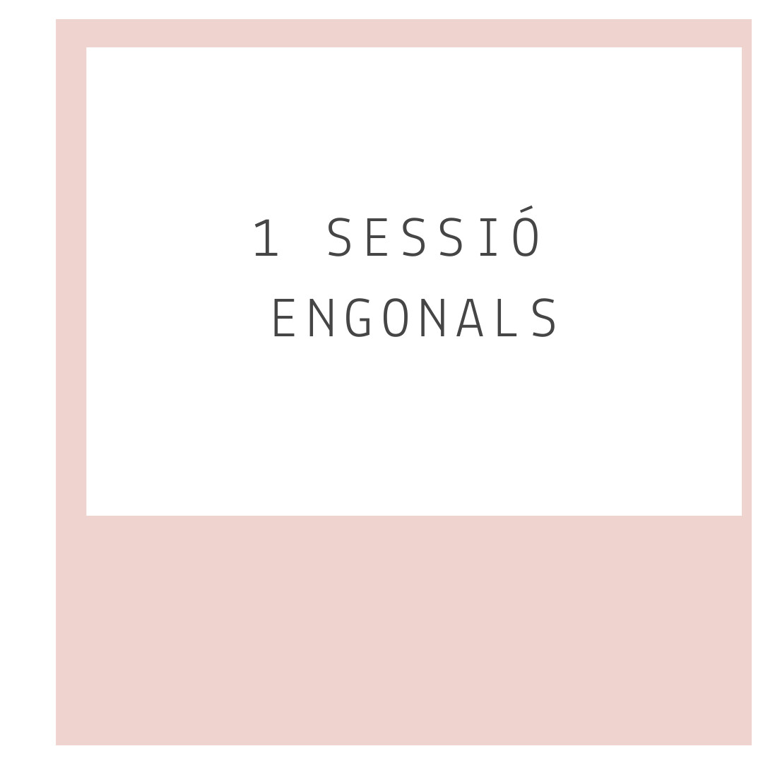 Fotodepilació engonals 1 sessió