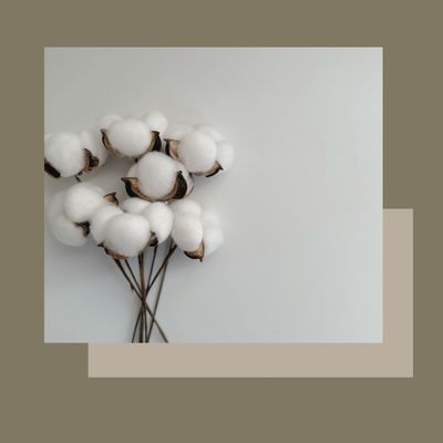 Higiene facial natural Bio Clean; purificació, amb extracció, calma i hidratació profunda amb doble mascareta.