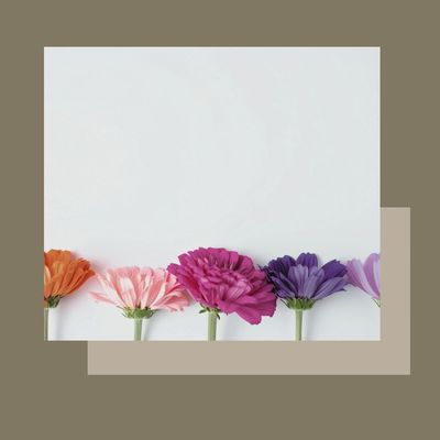 Programa 12 sessions FACIAL mètode PHYTO FACE TECH SYSTEM: assolim l'OBJECTIU! Programa 12 sessions FACIAL mètode PHYTO FACE TECH SYSTEM: assolim l'OBJECTIU!