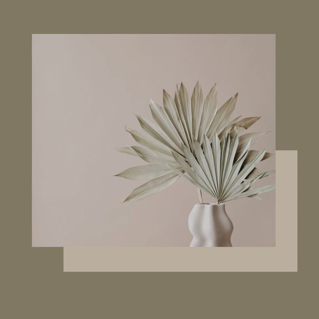 Tractament depuratiu per combatre l'ACNE