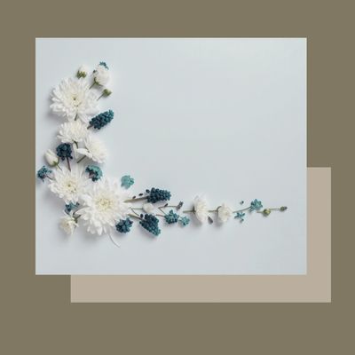 Tractament facial REHYDRA hidratació i nutrició per pells seques i necessitades d'elasticitat