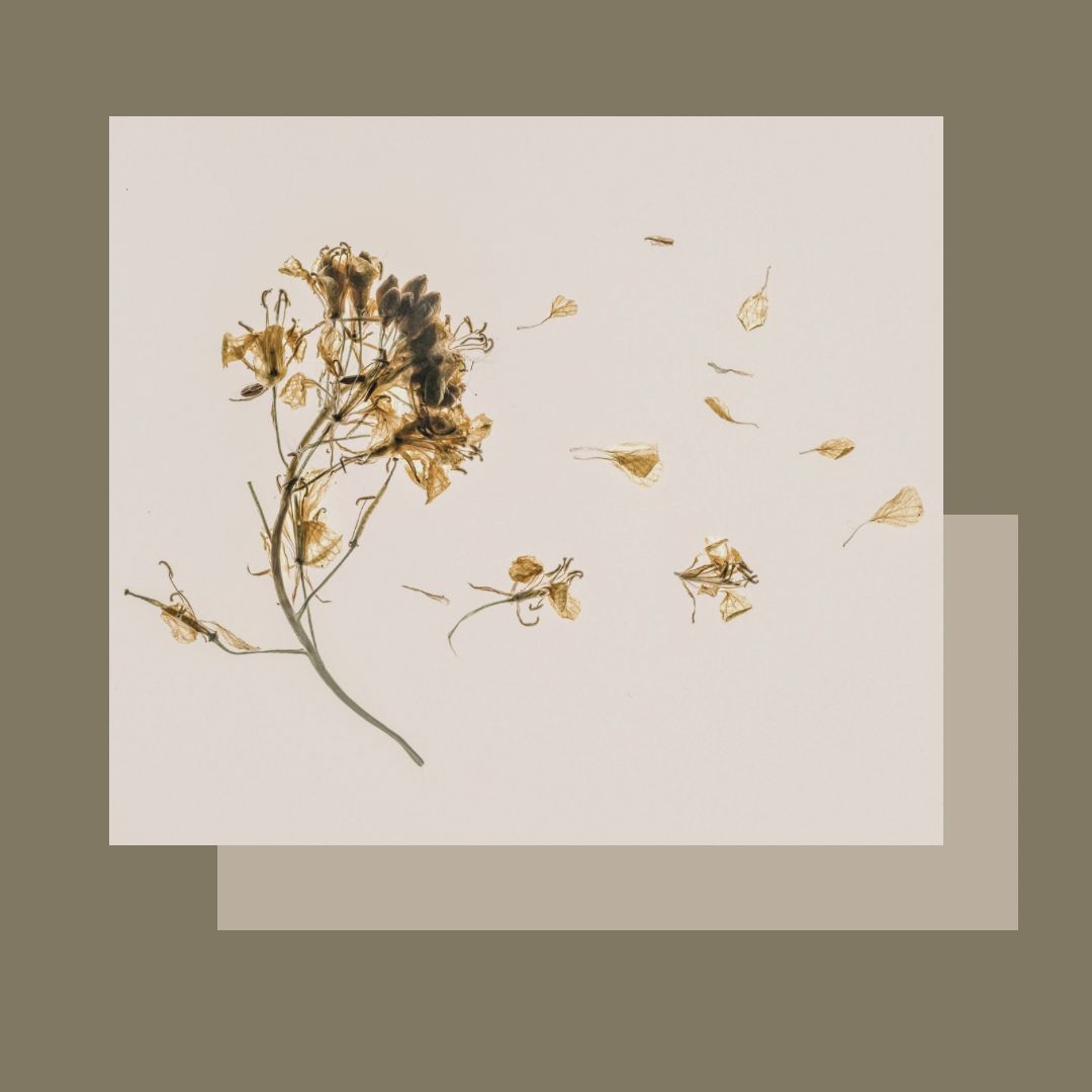 Massatge facial LIFT KOBIDO amb mascareta d'àcid hialurònic Massatge facial LIFT KOBIDO amb mascareta d'àcid hialurònic