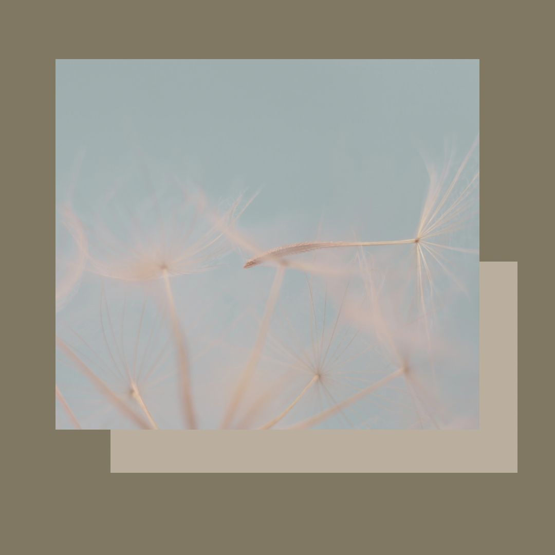 Tractament específic contorn d'ULLS