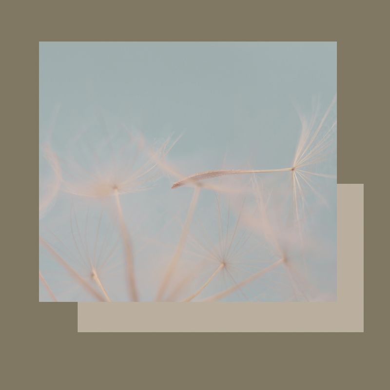 Tractament específic contorn d'ULLS
