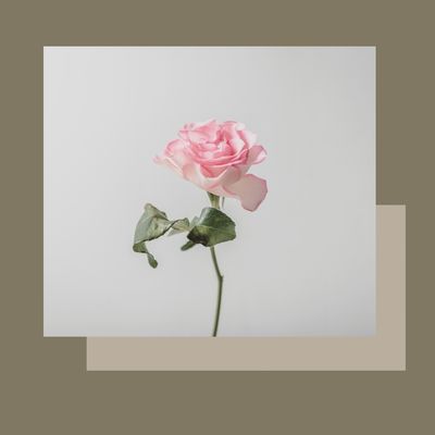 Tractament IPL FOTOREJOVENIMENT facial Tractament IPL FOTOREJOVENIMENT facial