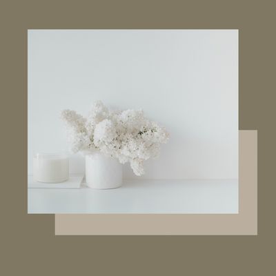 Tractament facial BALANCE regulador per pells grasses