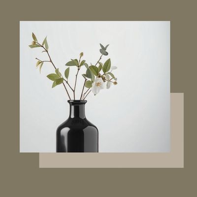 Higiene facial Phytoactive Powder Mask amb tractament d’omegues per netejar i reforçar el benestar de la pell Higiene facial Phytoactive Powder Mask amb tractament d’omegues per netejar i reforçar el benestar de la pell