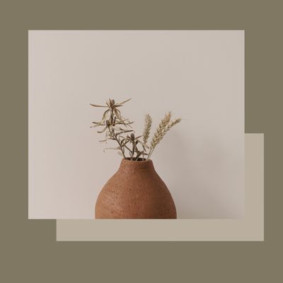 Tractament facial GREEN EARTH BIO+ orgànic