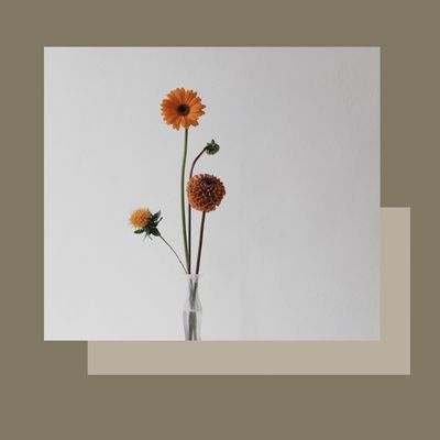 FUSTATERÀPIA facial; tractament refermant amb cosmètica ProAge orgànica