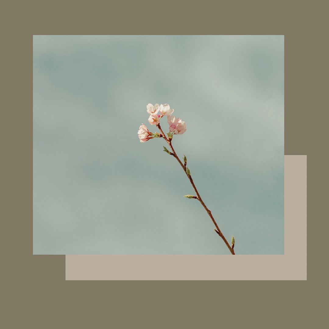 Tractament REJOVENIDOR productor de col.lagen