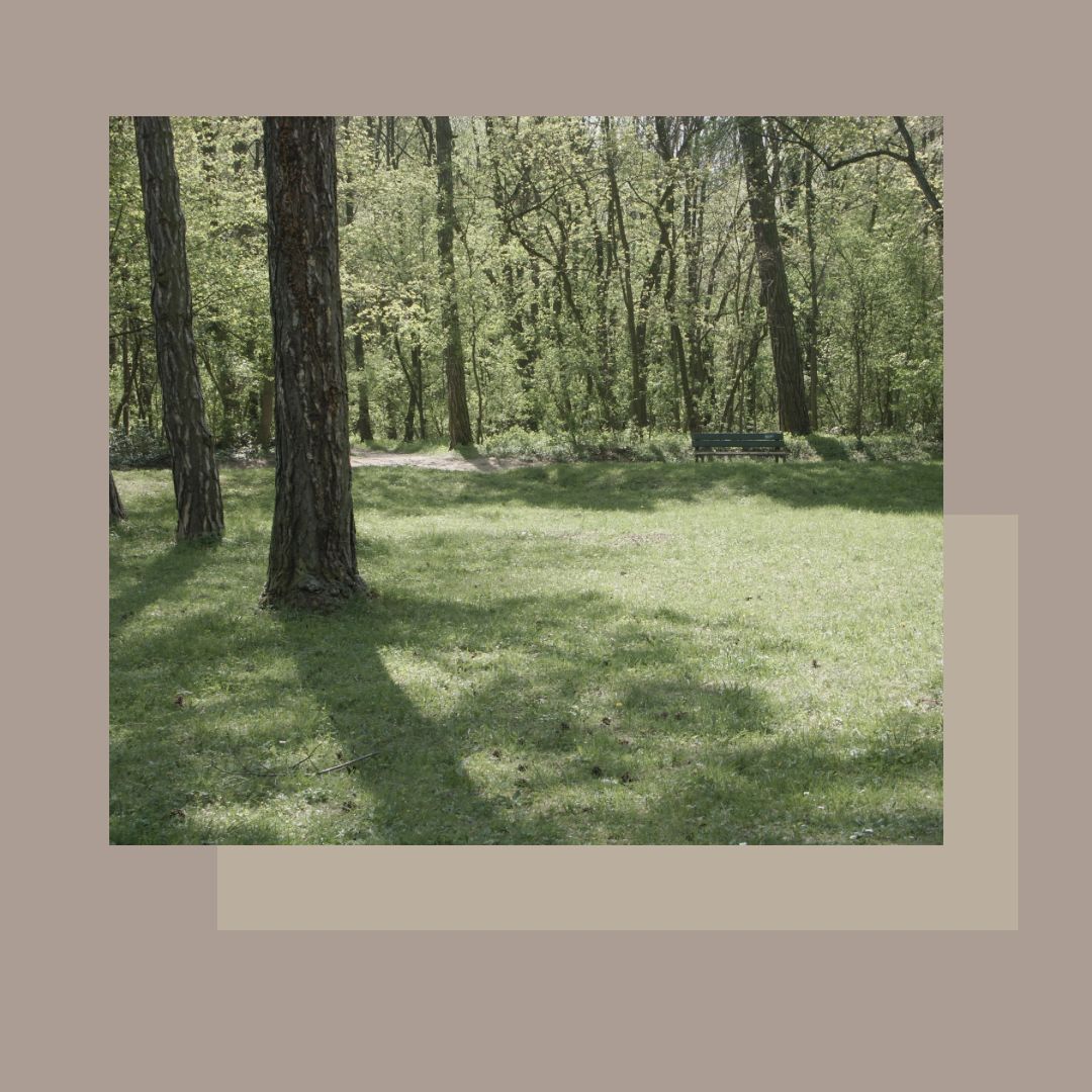 Massatge relaxant detoxificant amb FUSTAteràpia per reduir l'estres