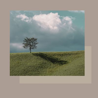 Massatge corporal amb aromateràpia relaxant