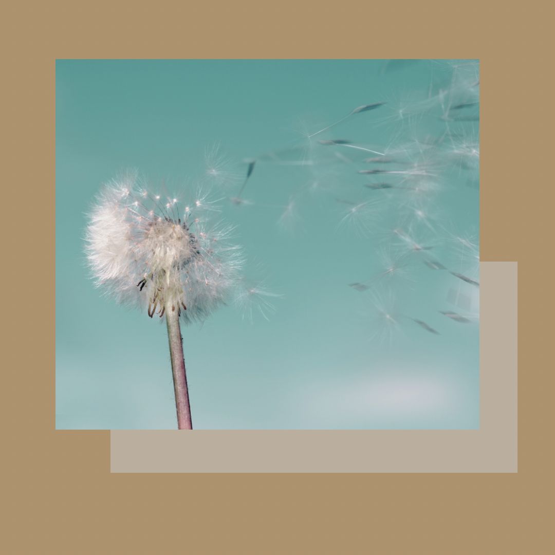 Sessió de pressoteràpia per alleugerir cames cansades, combatre retenció i cel.lulitis