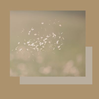 Drenatge limfàtic MANUAL de cames Drenatge limfàtic MANUAL de cames