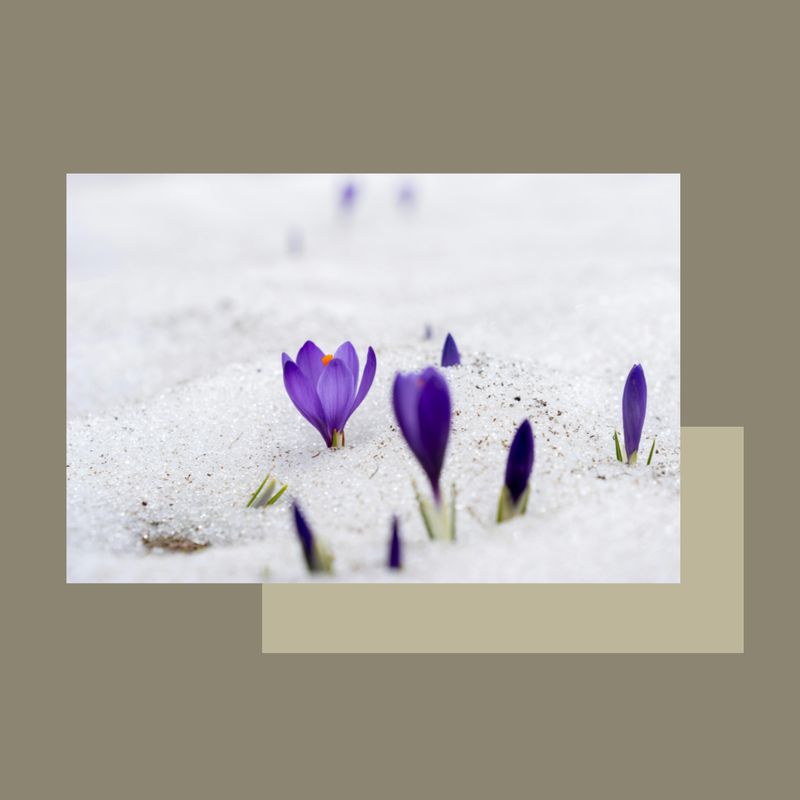 Tractament facial LumiFaceSculpt lifting