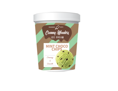 Mint Chocochips Ice Cream 500ml