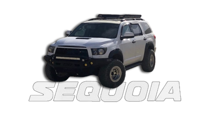 Sequoia