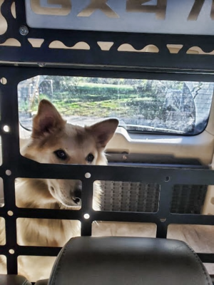 GX470 &amp; Prado 120 Attic storage dog/cargo barrier