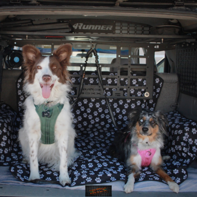 Dog posed cargo pet barrier for your 4th Gen 4Runner