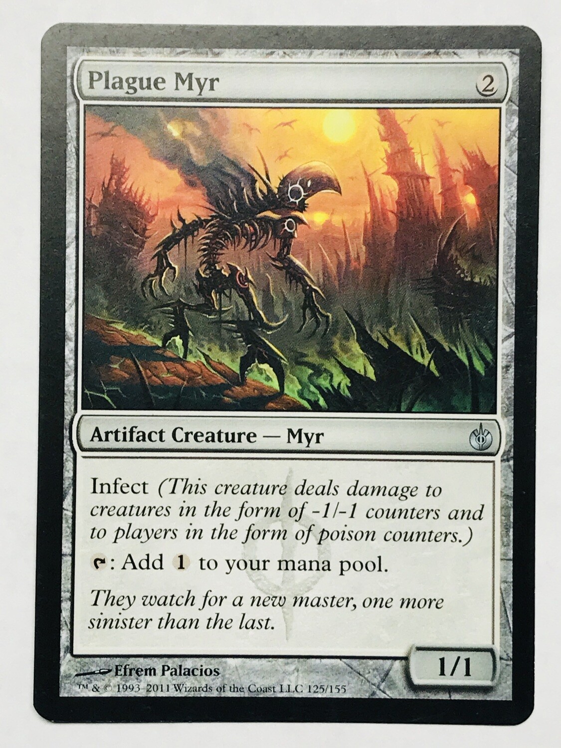 Myre Sire