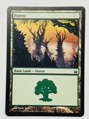 Forest