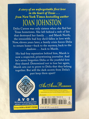 I Promise by Joan Johnston