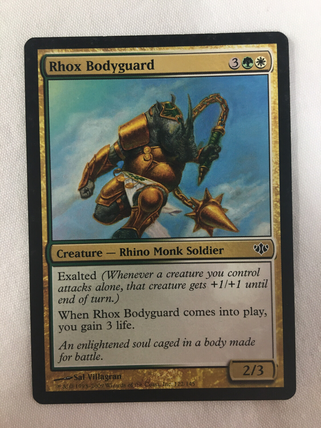 Rhox Bodyguard