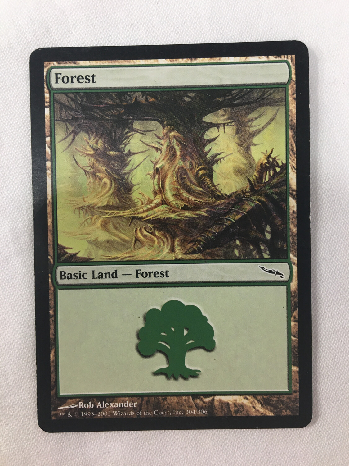Forest
