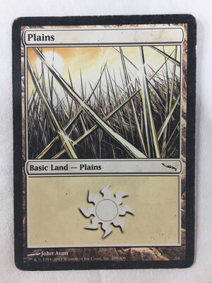 Plains