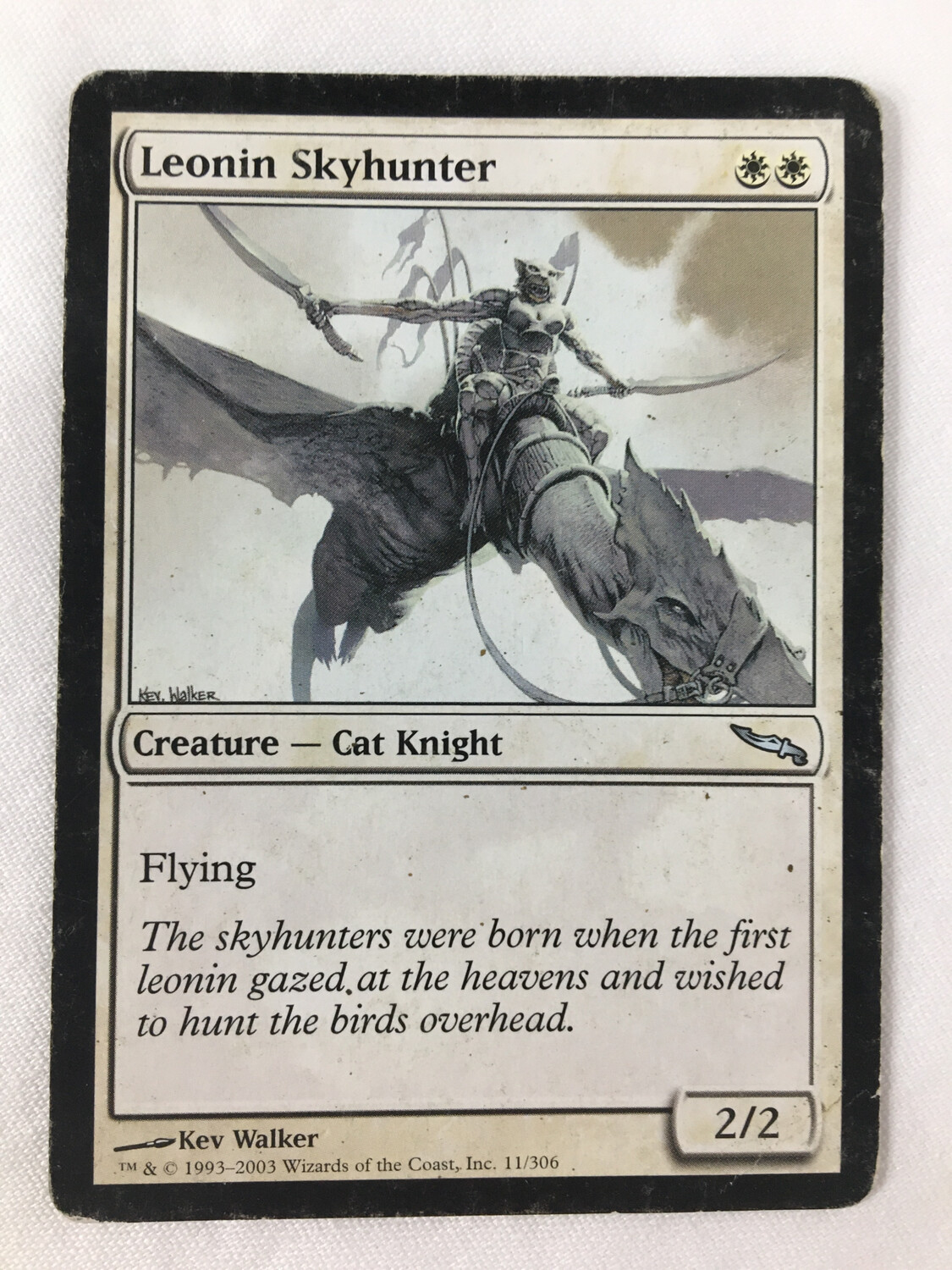 Leonin Skyhunter