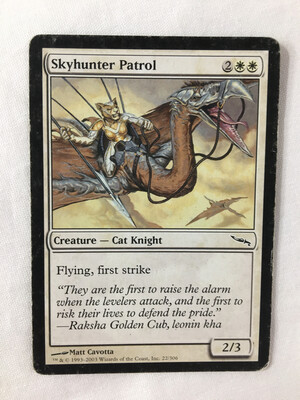 Skyhunter Patrol
