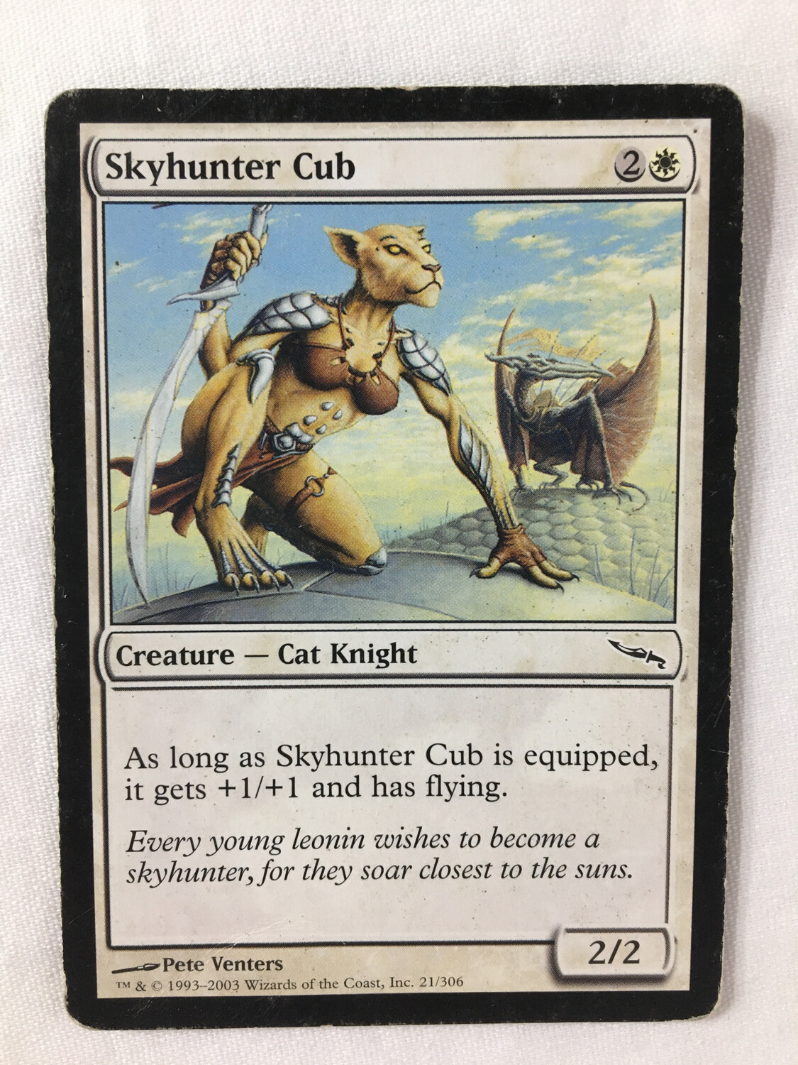 Skyhunter Cub