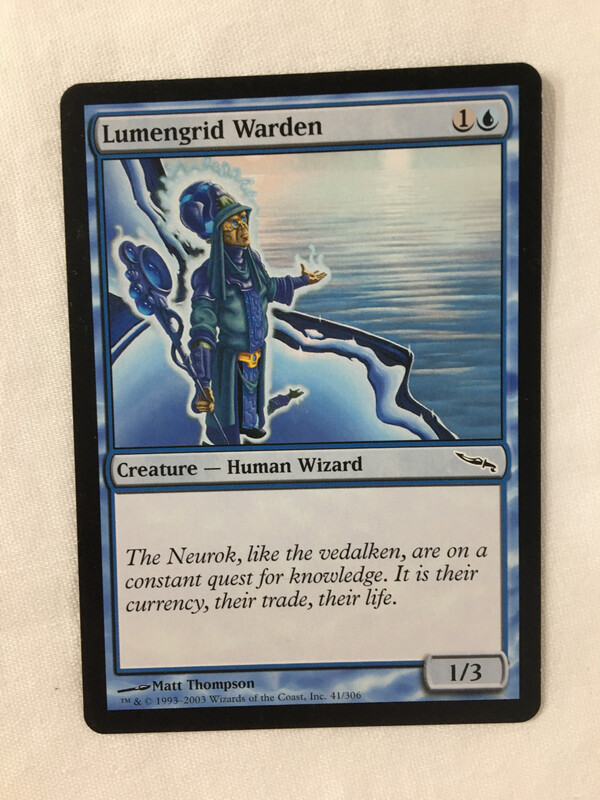 Lumengrid Warden