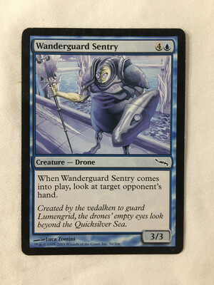 Wanderguard Sentry