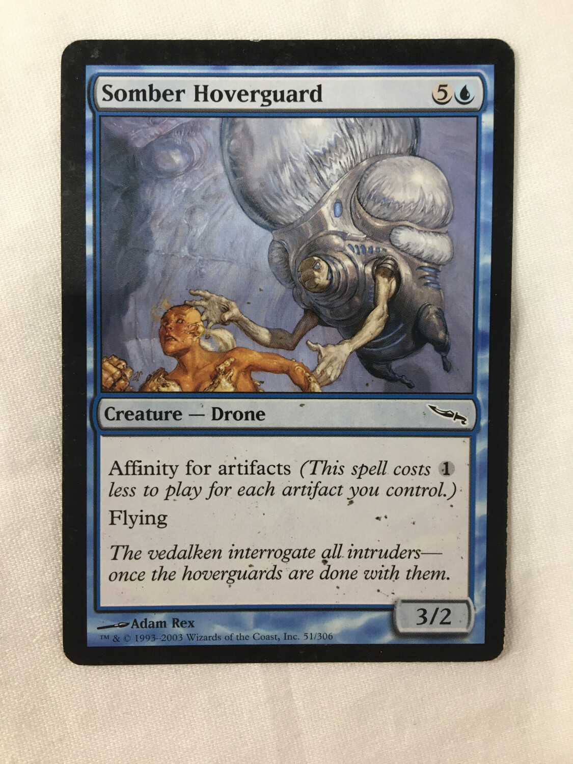 Somber Hoverguard