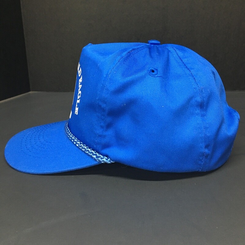 Vintage Nittany & Bald Eagle Railroad Snapback Hat One Size Fits All